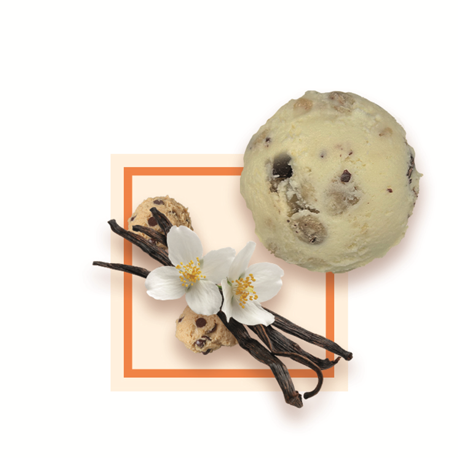 Glace vanille cookie dough artisanale 5 L