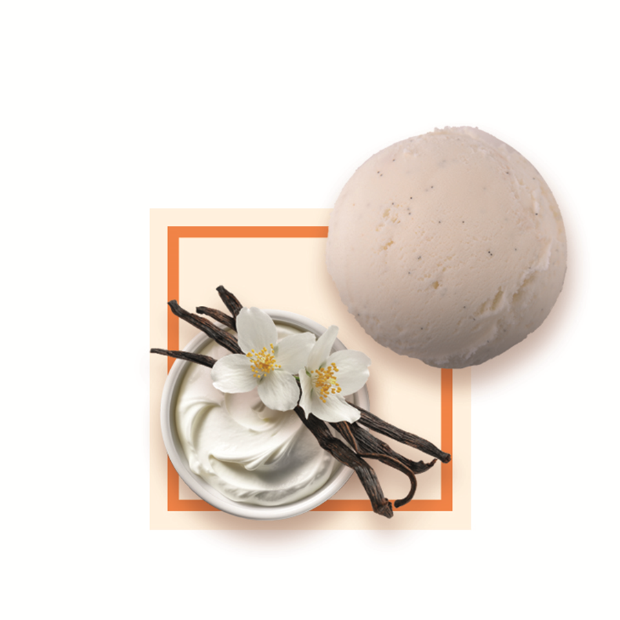 Glace vanille crème fraîche artisanale spécial glacier